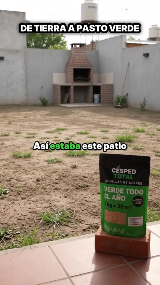 Antes y después