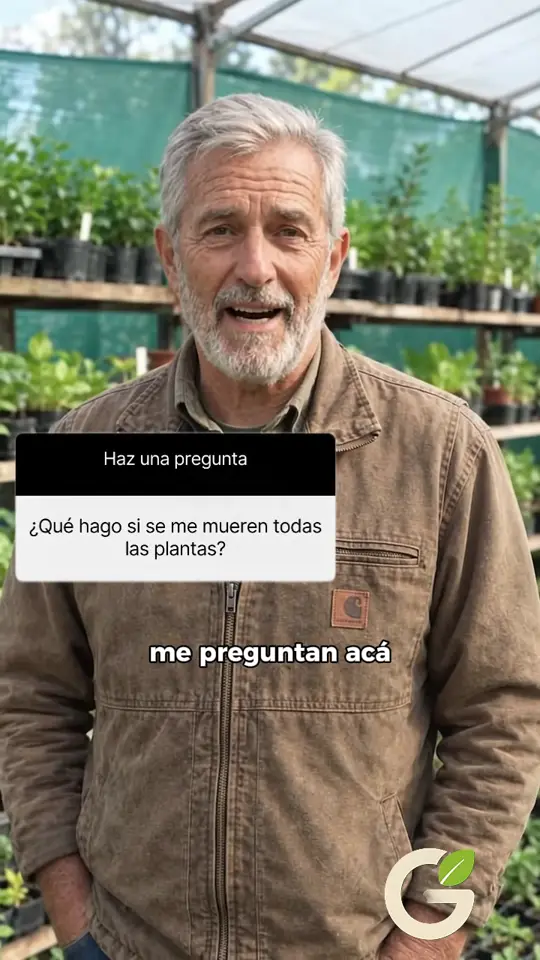 Experto a cámara